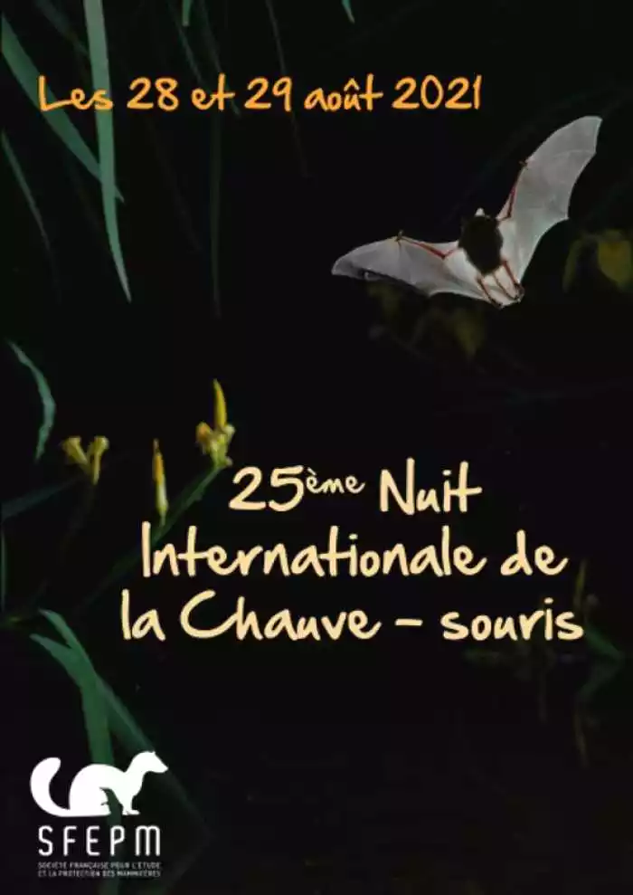25ème Nuit Internationale de la Chauve-souris
