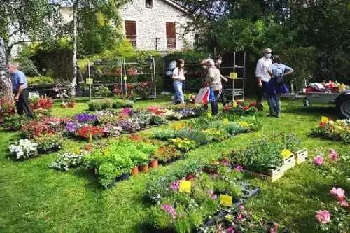 Foire aux plants