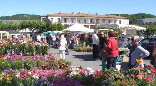 12ème Foire aux Plants