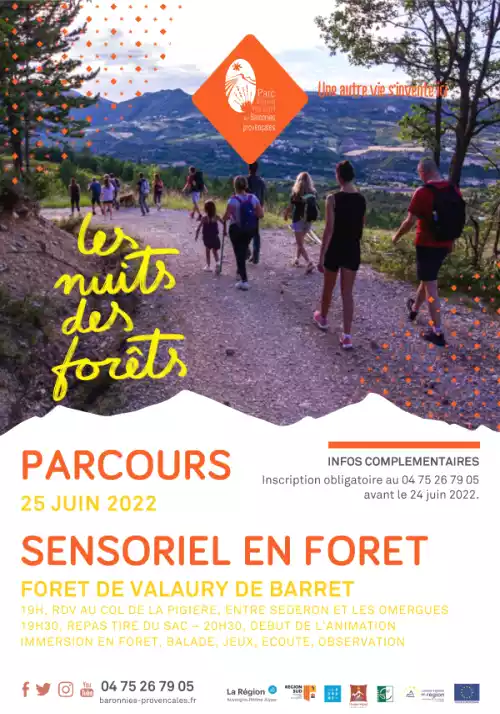 Parcours sensoriel en forêt