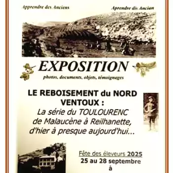 Le Reboisement du Nord Ventoux
