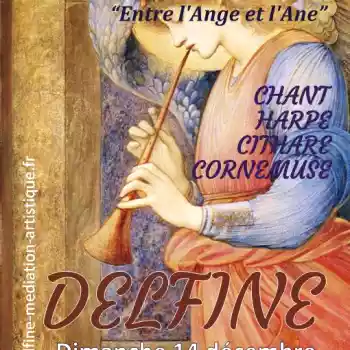 Delfine, entre l'ange et l'âne