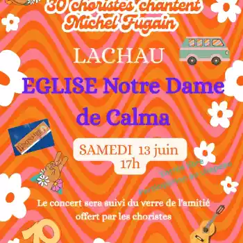 30 Choristes chantent Michel Fugain