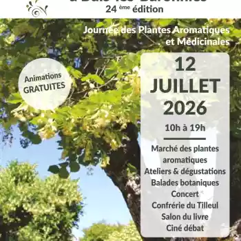 Tilleul en F&ecirc;te (24&egrave;me &eacute;dition)