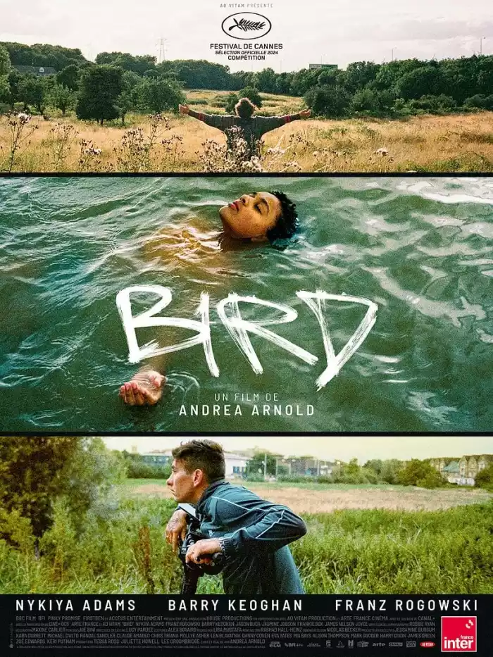 Bird film de Andréa Arnold 2025