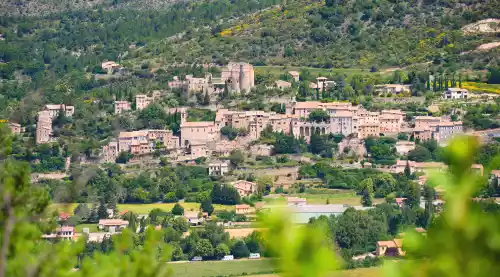 Vue d'ensemble de Montbrun les Bains (26)