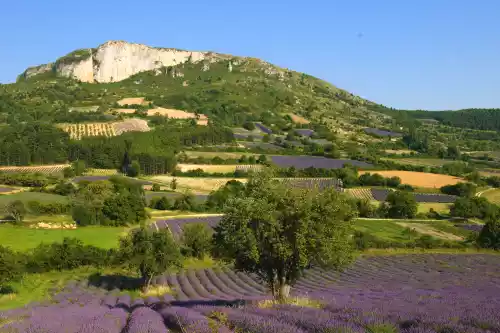 Le Fort de Mévouillon