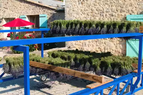 Séchoir pour les bouquets de lavande à Mévouillon