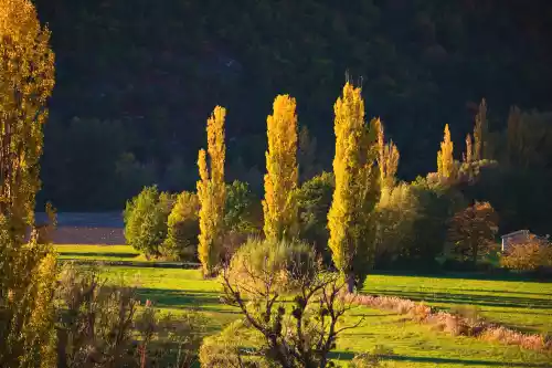 paysage automnal à Lachau (Drôme)