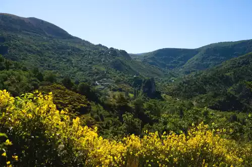 Vue de Barret de Lioure