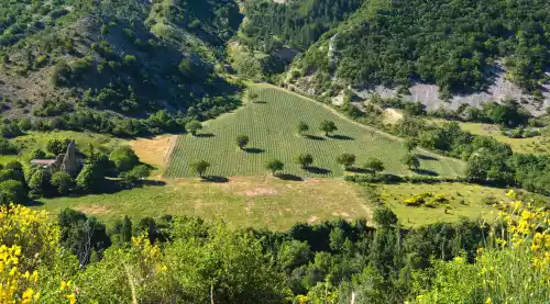 Vue de Barret de Lioure