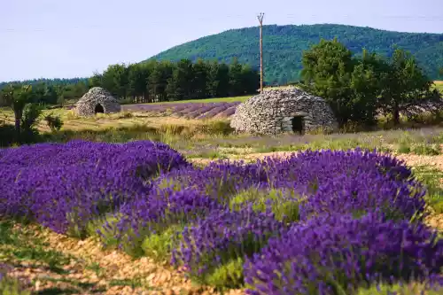 Des bories à Ferrassières