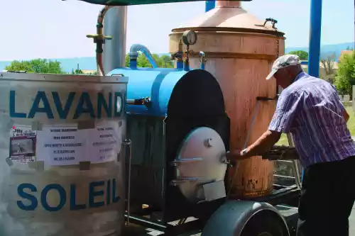 Distillation de lavande durant la fete de la lavande de Ferrassières