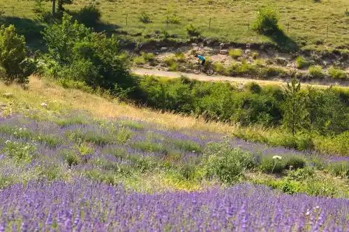 Cycliste au col d'Aulan