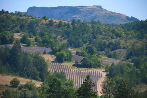 Le fort de Mévouillon depuis Aulan (Drôme)