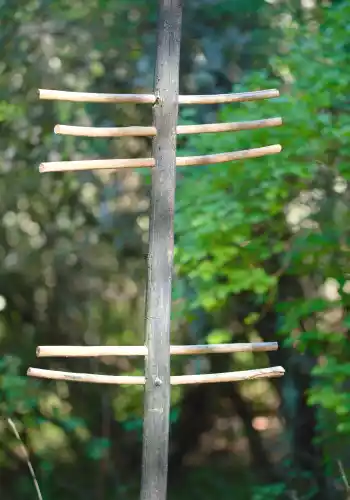 Alphabet des arbres sur le sentier land-art à Savoillans