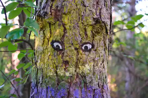 Oeuvre sur le sentier Land-art à Savoillans (Vaucluse - vallée du Toulourenc)