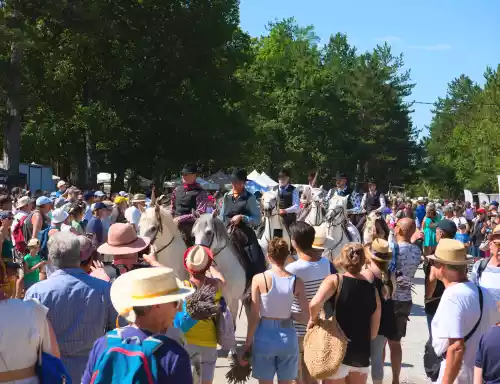 Défilé lors de la fête de la lavande de Sault (84)